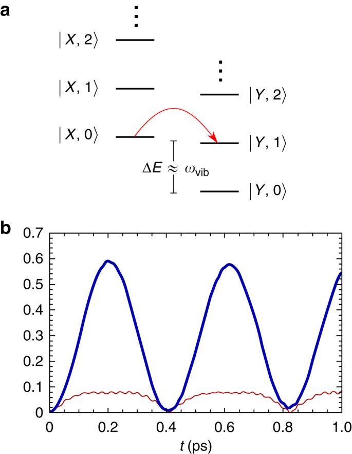Figure 2: Exciton-collective mode states and free exciton dynamics.