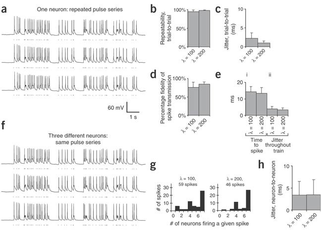 Figure 2: Realistic spike trains driven by series of light pulses.