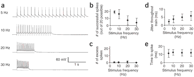 Figure 3: Frequency dependence of coupling between light input and spike output.