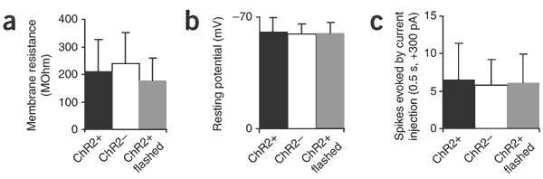 Figure 5: Basal and dynamic electrical properties of neurons expressing ChR2.