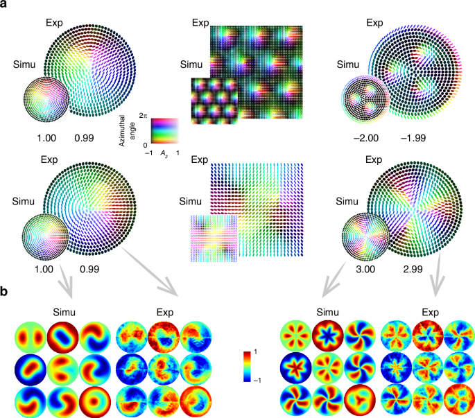 Fig. 2: Formation and characterization of optical anisotropy-based skyrmions.
