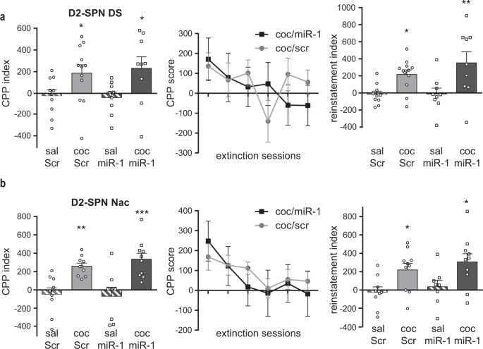 Fig. 4: Cocaine-induced conditioned place preference and relapse after miR-1 overexpression in D2-SPN of the dorsal striatum or NAc of mice.
