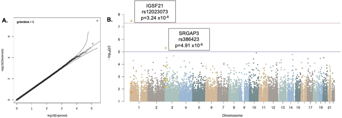 Fig. 2: A GWAS Performed in the Combined GOI and CNP Samples Identifies One Locus Associated with BART Performance at the Genome-wide Significance Level.