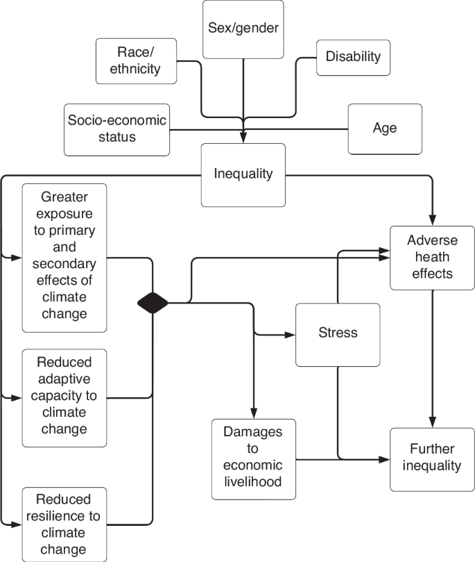 Fig. 2: Mechanisms of vulnerability for vector-borne and other diseases.