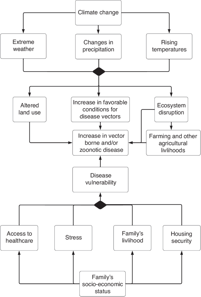 Fig. 3: Proposed mechanism of furthering inequality.
