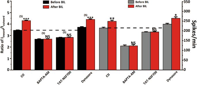Fig. 9: Plots summarizing the effects of BIL on the ratio of Iinward/Ioutward (left) and the firing rate (right) under different pretreatment conditions.