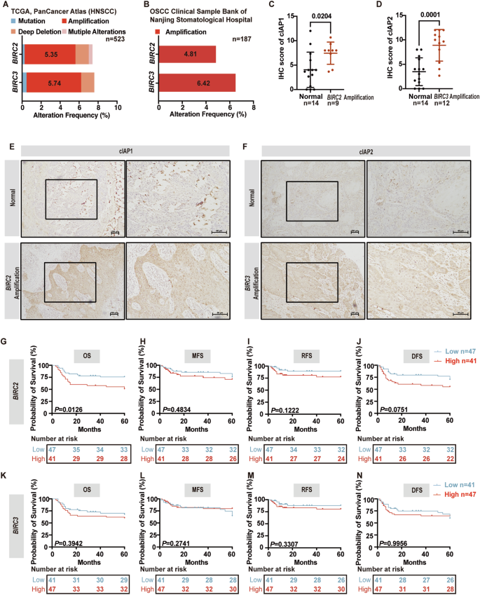 Fig. 1: BIRC2 and BIRC3 mutations in OSCC and HNSCC patients.