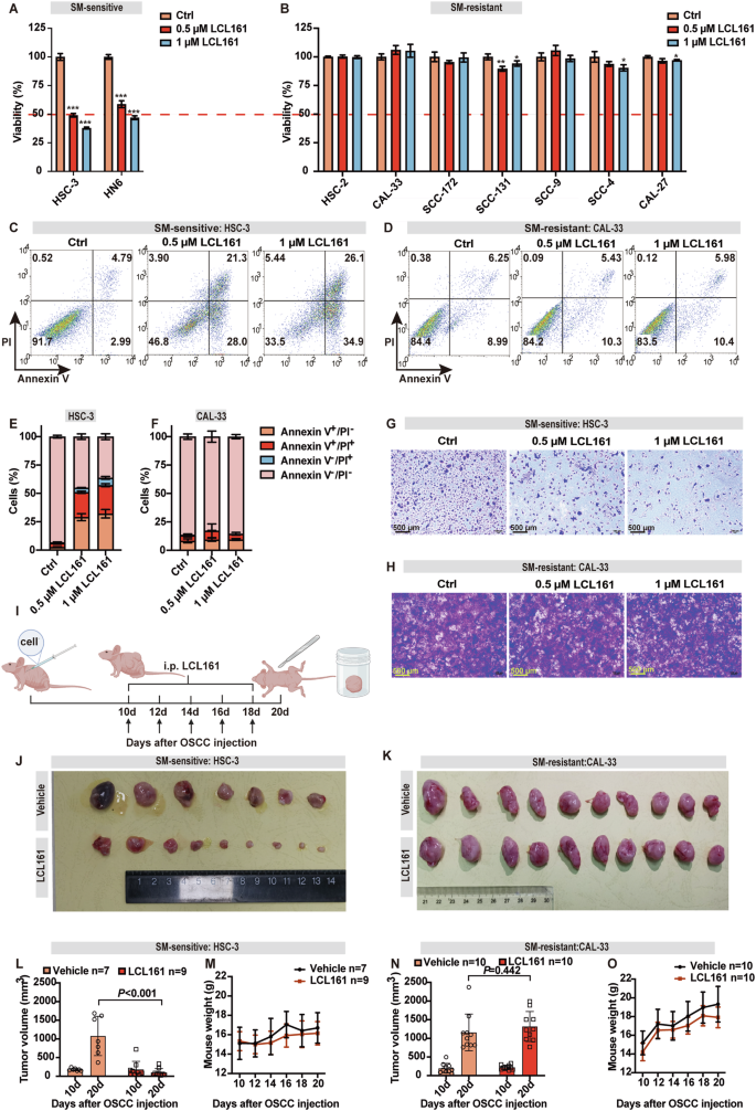 Fig. 3: OSCC tumor cells exhibit variable sensitivity to SM.