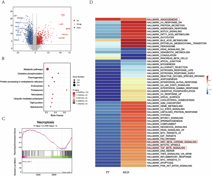 Fig. 2: Differential expression patterns of gastric cancer cells in PT and MLN.