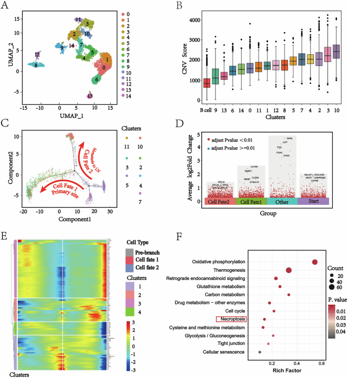 Fig. 3: Single-cell analysis of the metastatic mechanism of gastric cancer to lymph nodes.