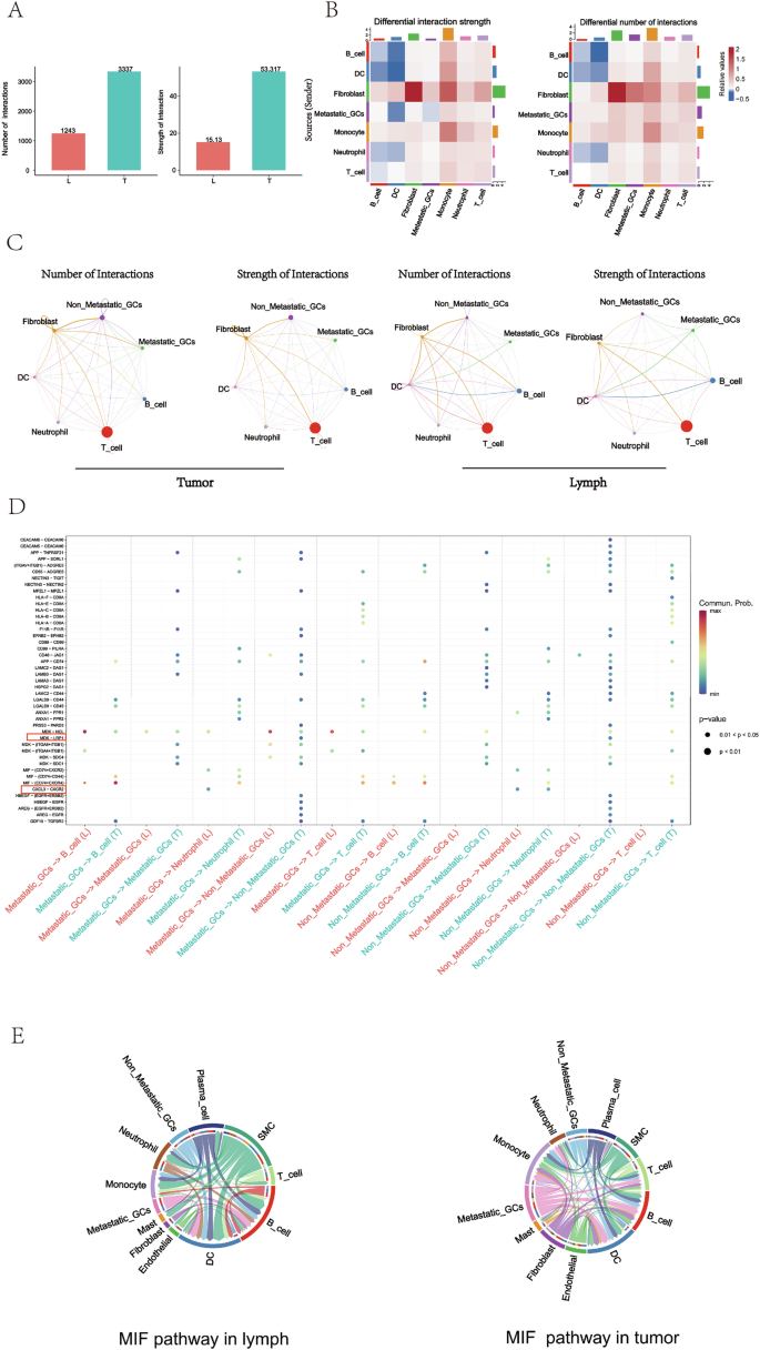 Fig. 5: Intercellular networks in PT and MLN revealed by CellChat.