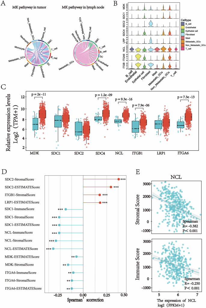 Fig. 6: Expression of the Eight Genes Involved in the MK Signaling Network.