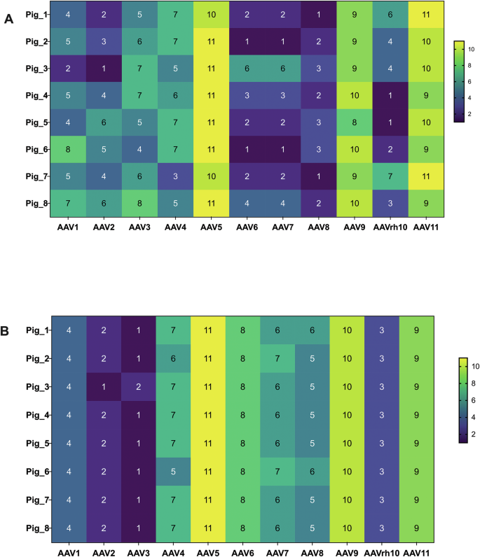 Fig. 3: Within-pig ranking of ELISA reactivity across AAV serotypes by facility and dilution.
