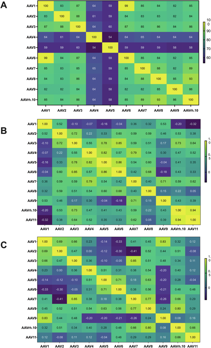 Fig. 4: Structural and functional relationships among AAV serotypes.