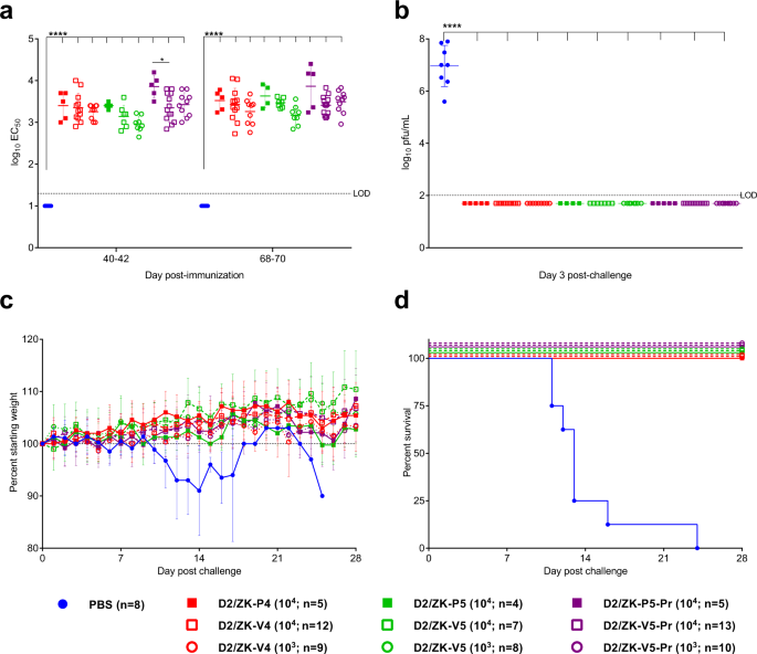 Fig. 7: Single dose of D2/ZK LAV candidates protect AG129 mice from lethal ZIKV challenge.