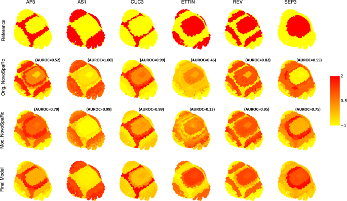 Fig. 2: Examples of reconstructed expression patterns for representative genes in Arabidopsis floral meristem.