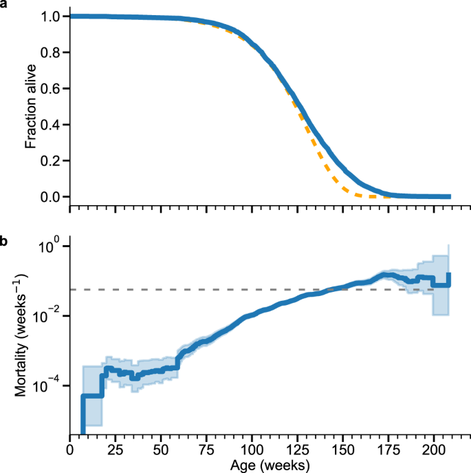 Fig. 4: Late-life mortality deceleration in mice.