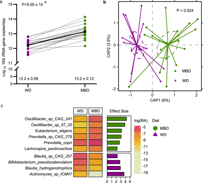 Fig. 2: Diet modulated the gut microbiome.