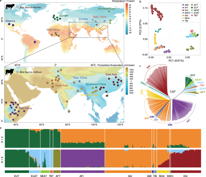 Fig. 1: Population genomic structuring and relationship among indicine cattle.