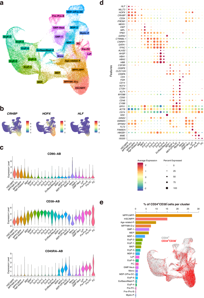 Fig. 1: Single cell transcriptomic/AbSeq profiling of CD34+cells from human BM.