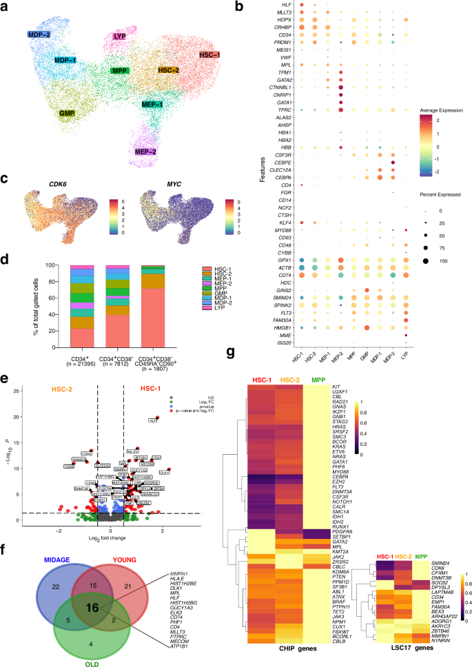 Fig. 2: Proteo-transcriptomic profiling and differential gene expression of early immature HSPCs.