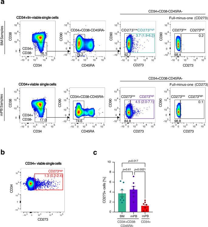 Fig. 5: FACS sorting of CD273high and CD273low HSPCs.