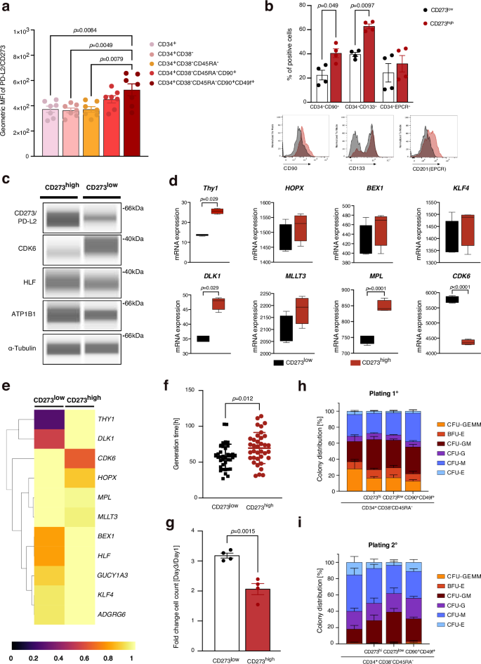 Fig. 6: Functional characterization of CD273/PD-L2 expressing HSPCs.