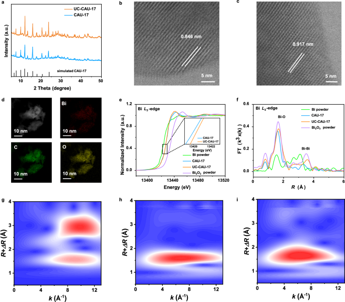 Fig. 2: Morphological and fine structure analyses of UC-CAU-17.