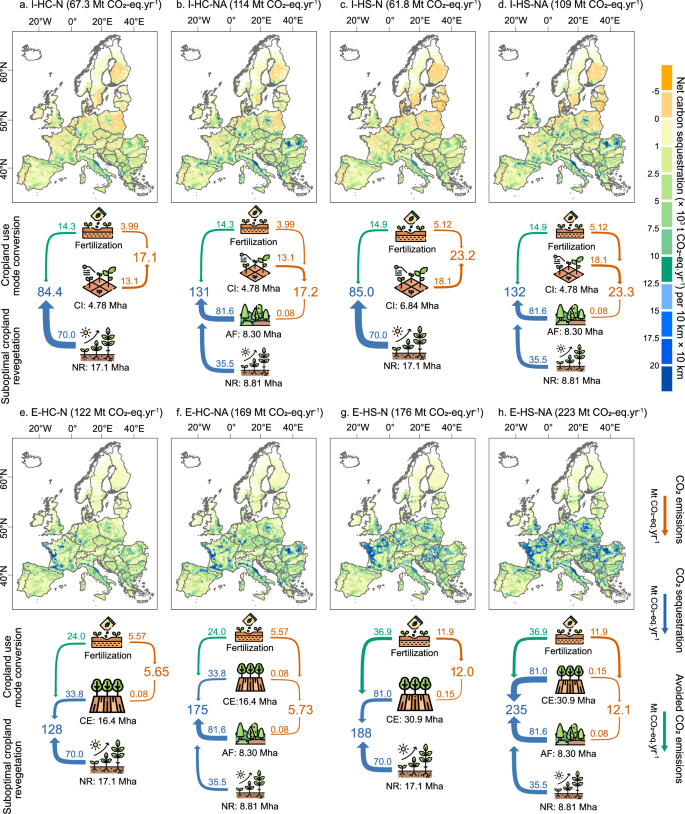 Fig. 5: Carbon sequestration and emissions for the eight investigated scenarios combining cropland use mode with crop switching strategies and revegetation options.