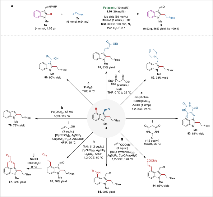 Fig. 6: Scale-up reaction and diversification of alkylated indole products.