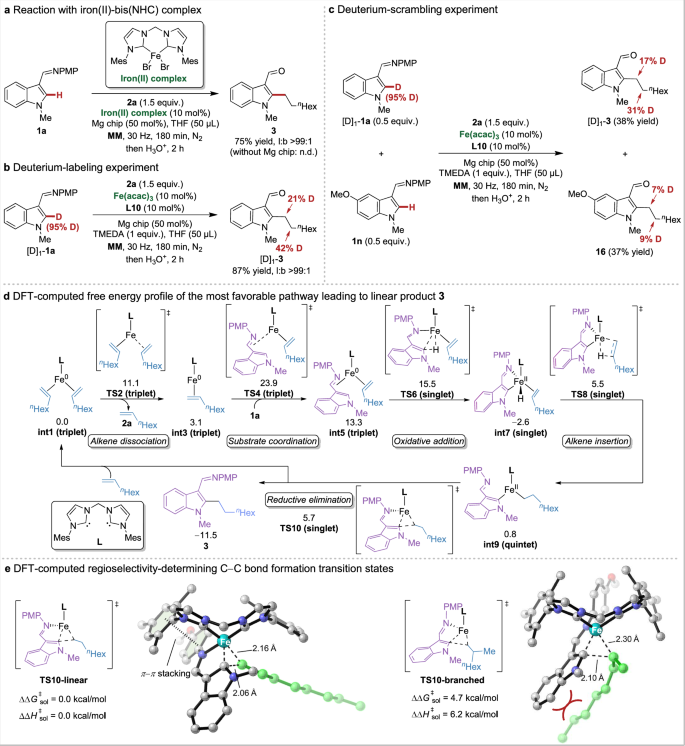 Fig. 7: Mechanistic studies.