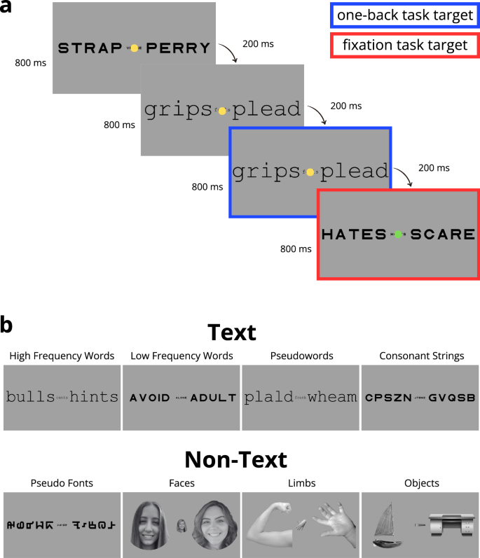 Fig. 1: Functional Localizer Experimental Design.