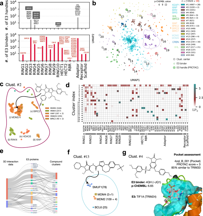 Fig. 6: Druggability map of the E3 ligome.