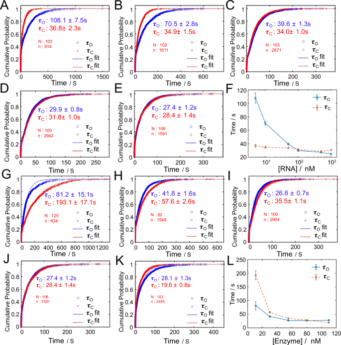 Fig. 4: Modulation of dwell times by varying RNA and RNase H levels.