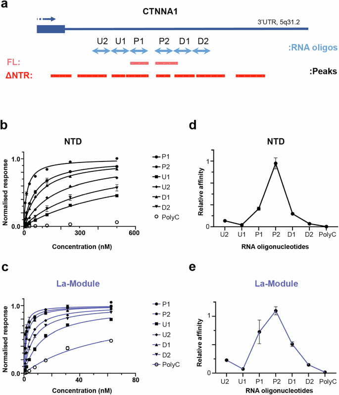 Fig. 4: NTR provides binding selectivity to the La-module, in vitro.