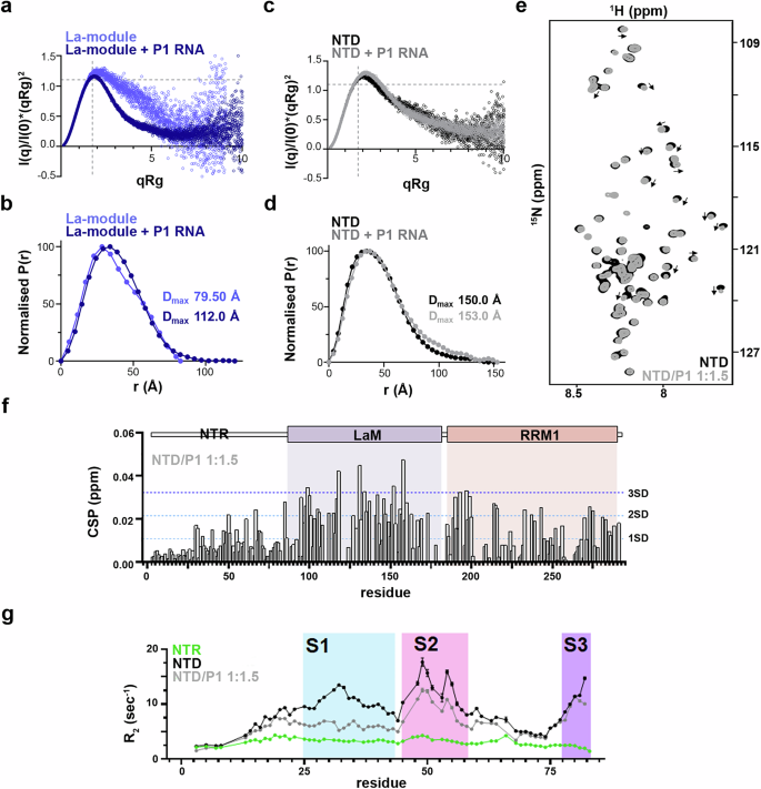 Fig. 6: The N-terminal disordered region regulates the RNA-binding properties of LARP6 through a composite mechanism.