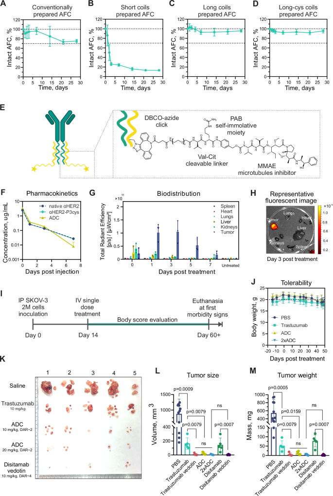 Fig. 4: Stability and efficacy of antibody-drug conjugates.