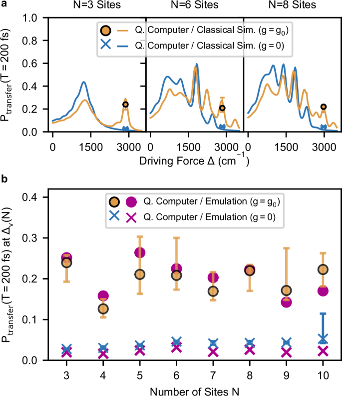 Fig. 4: Probability of vibronic ET for increasing number of sites.
