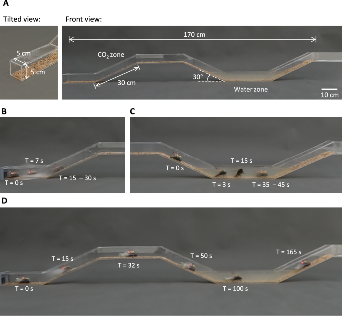Fig. 5: Comparison of locomotion performance of cyborg cockroaches with and without diving suit in simulated hazard environments.