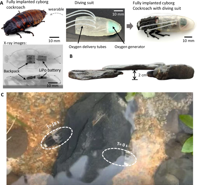 Fig. 6: Outdoor underwater narrow crevice traversal.