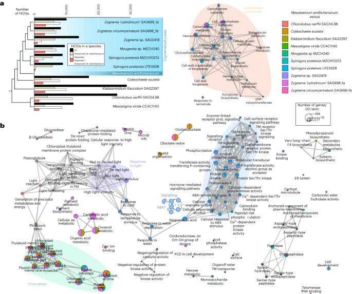 Fig. 3: Comparative analyses of global differential gene expression profiles across stress-treated streptophyte algae.