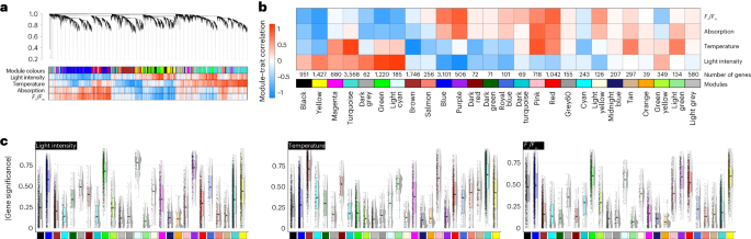 Fig. 4: Unsupervised gene expression clusters recover genetic programmes separated by environmental cues.