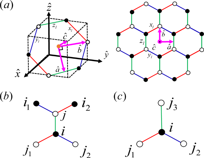 Fig. 1: Honeycomb lattice and linking clusters used in RMFT.