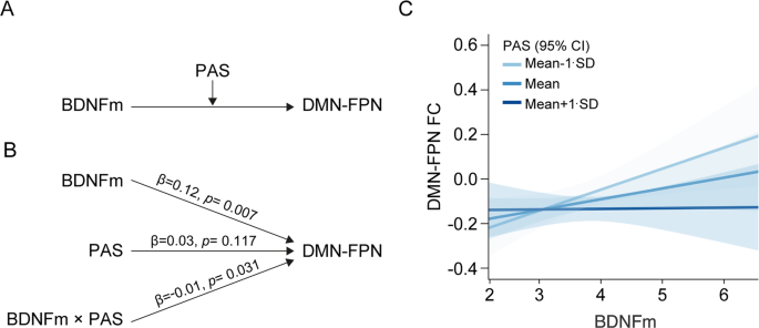 Fig. 3: Interaction between PAS and BDNFm on the DMN-FPN network FC.