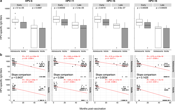 Fig. 1: Induction and maintenance of HPV-specific IgG.