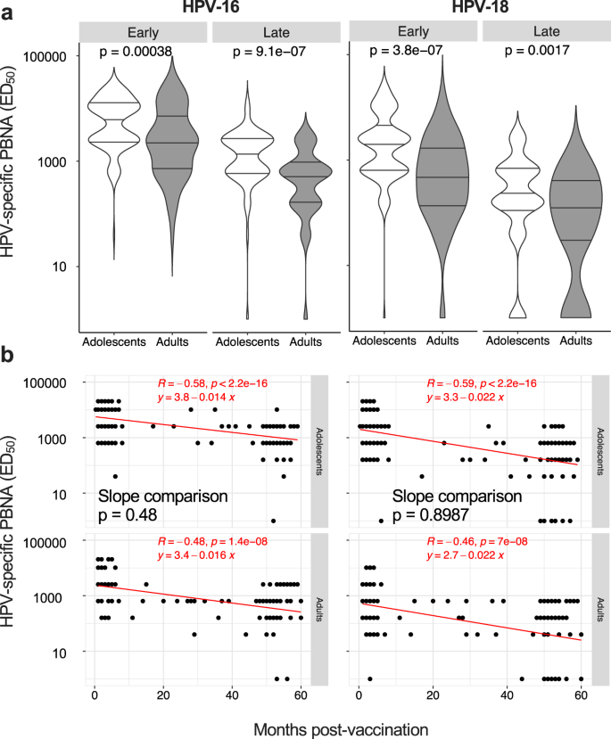 Fig. 3: Induction and maintenance of HPV-specific neutralizing antibodies.