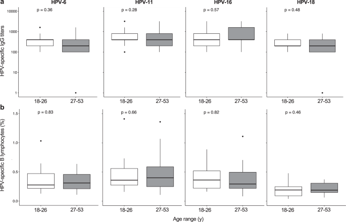 Fig. 5: Induction and maintenance of HPV-specific IgG and memory B lymphocytes in adults.