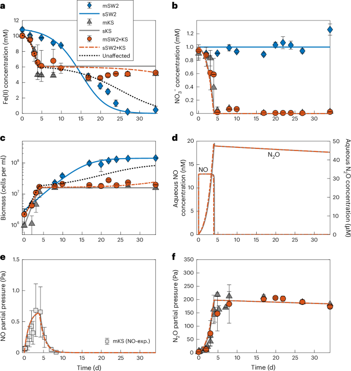 Fig. 1: Fe(II) oxidation and nitrate reduction in the KS culture alone, R. ferrooxidans SW2 alone and in a mixed culture containing both KS and R. ferrooxidans SW2.