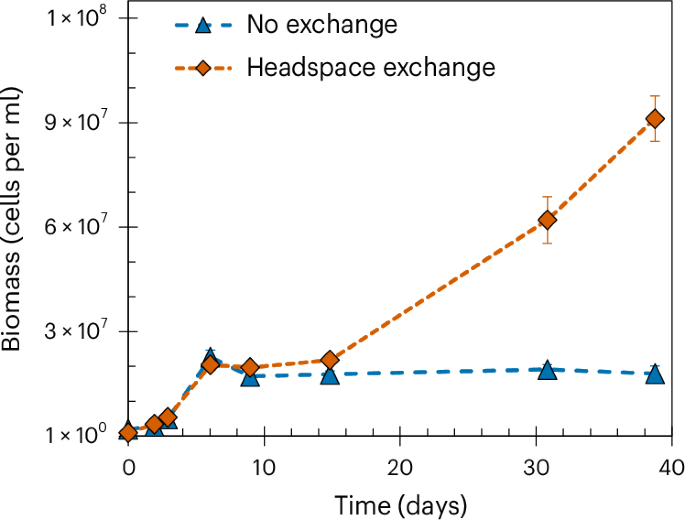 Fig. 2: Cell numbers measured using flow cytometry in incubations that contain both KS and R. ferrooxidans SW2.