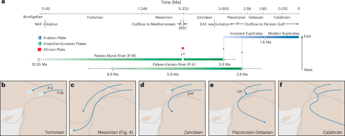 Fig. 5: Temporal evolution and formation model for the Euphrates River.